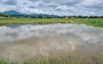 Emergenza meteo: la vasca di laminazione di Cavaion salva i centri urbani a valle