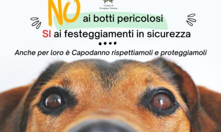 Il comune di Povegliano dice “No” ai botti e “SI” ai festeggiamenti in sicurezza