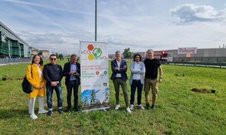 eCO2CENTRO2 Paulownia a Villafranca. La nuova isola verde per la sostenibilità urbana