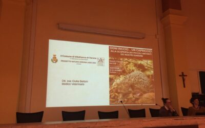 Villafranca e ambiente. Una conferenza dedicata ai ricci, le loro caratteristiche e come aiutarli se in difficoltà.