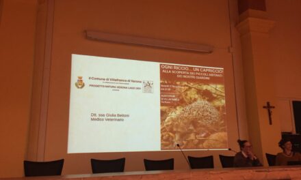 Villafranca e ambiente. Una conferenza dedicata ai ricci, le loro caratteristiche e come aiutarli se in difficoltà.