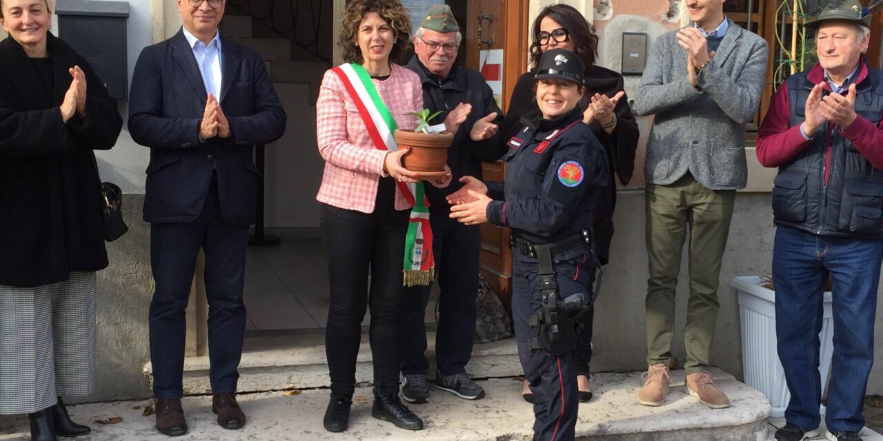 Un bosco diffuso della legalità. Le gemme dell’albero di Falcone piantate a Povegliano Veronese