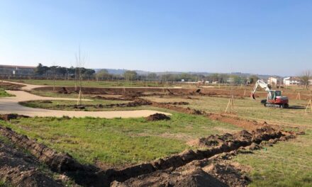 Villafranca, ecco i lavori al Parco del Tione: un vero polmone verde