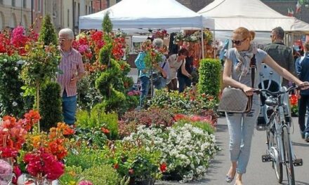 “COLOGNA IN FIORE” FA DIVENTARE IL CENTRO DEL PAESE UN GRANDE GIARDINO