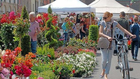 “COLOGNA IN FIORE” FA DIVENTARE IL CENTRO DEL PAESE UN GRANDE GIARDINO