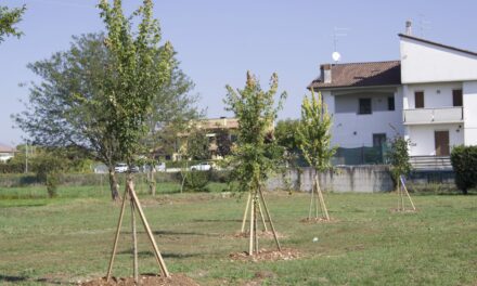 Villafranca. “Isole boschive” nelle zone più trafficate per l’assorbimento di anidride carbonica e polveri sottili