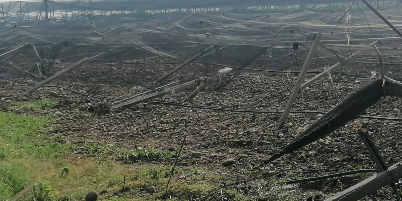 Maltempo, tromba d’aria a Villafranca, Quaderni e Valeggio. Ingenti i danni