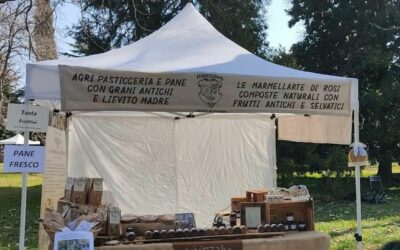 Domani, domenica 7 agosto appuntamento con il Mercato della Terra Slow Food di Sommacampagna