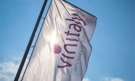 Vinitaly 2022: ecco le novità della fiera che torna in presenza dopo due anni