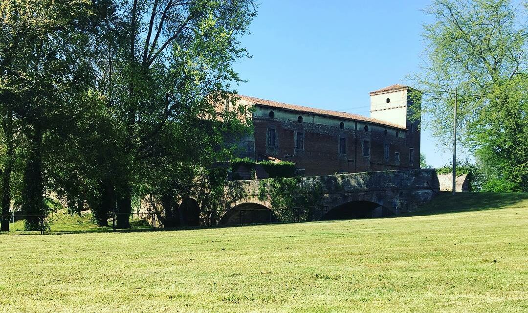 Il Comune di Nogarole Rocca ha presentato a Fondazione Cariverona un progetto per riqualificare aree verdi