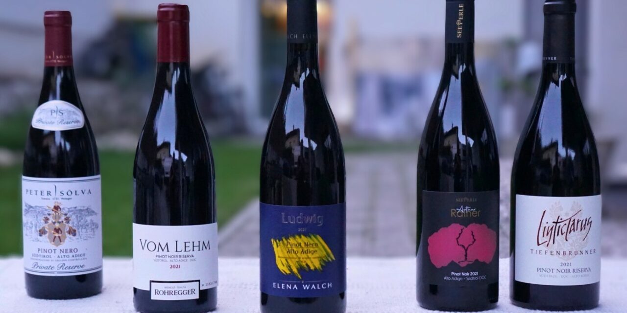 Pinot nero, ecco i migliori d’Italia 2024: al primo posto Elena Walch