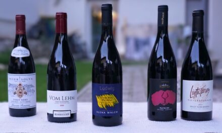 Pinot nero, ecco i migliori d’Italia 2024: al primo posto Elena Walch