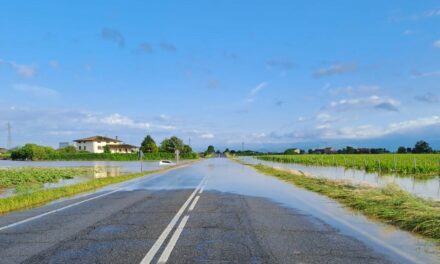 Maltempo, ecco gli interventi d’emergenza della Provincia: 15 squadre ancora al lavoro