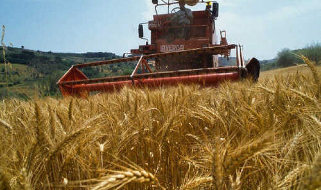 Castelnuovo. La gestione del rischio per le imprese agricole: incontro il 23 novembre