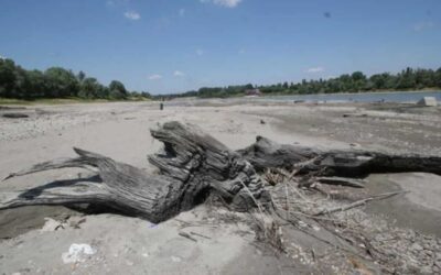 Agricoltura, la pioggia di inizio settimana è stata solo un sollievo superficiale. Italia ancora assetata