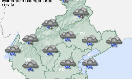 Meteo, su Verona resta alto l’allarme: l’assessore Benini chiude per due giorni i parchi e i giardini pubblici