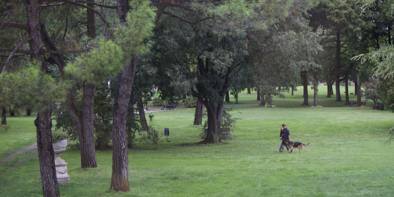 “Povegliano in Sport”: Domenica 2 ottobre al Parco Balladoro