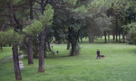 “Povegliano in Sport”: Domenica 2 ottobre al Parco Balladoro