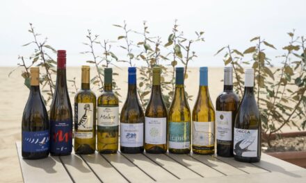 Vermentino Grand Prix 2024, ecco i dieci migliori bianchi della Maremma Toscana