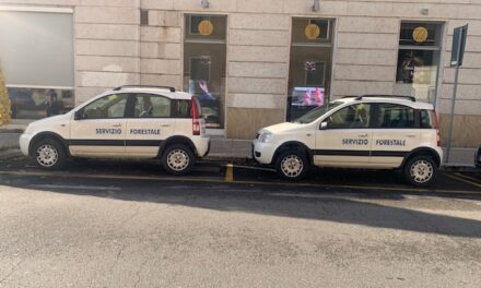 Parcheggiare in Borgo Trento è sempre più difficile. Inaccettabili gli stalli riservati al Servizio Forestale