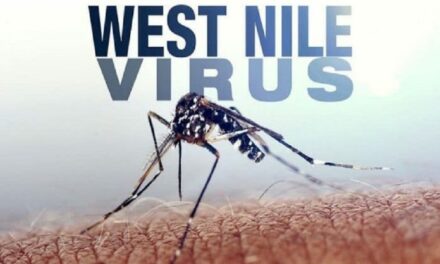 West Nile Virus, primo caso sospetto a Villafranca